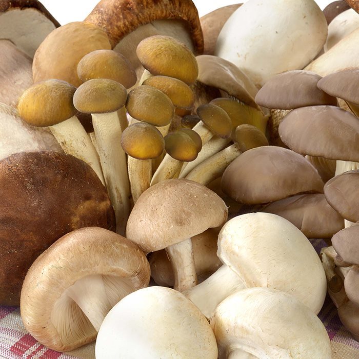 Misto Funghi Surgelati